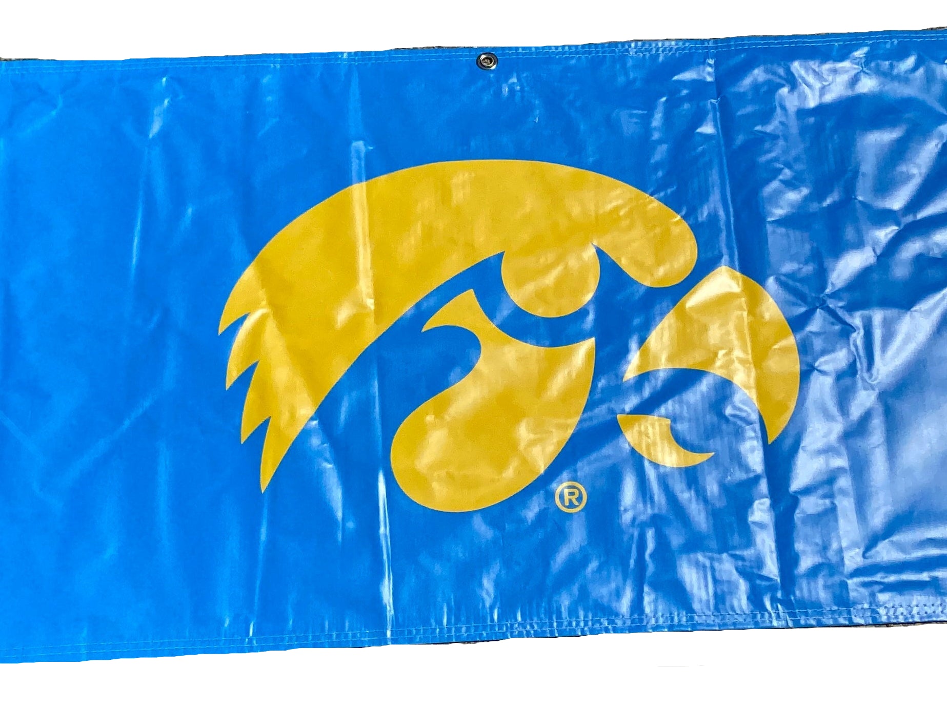 Women's Big Ten Gymnastics Championships 2024 School Logo Banner