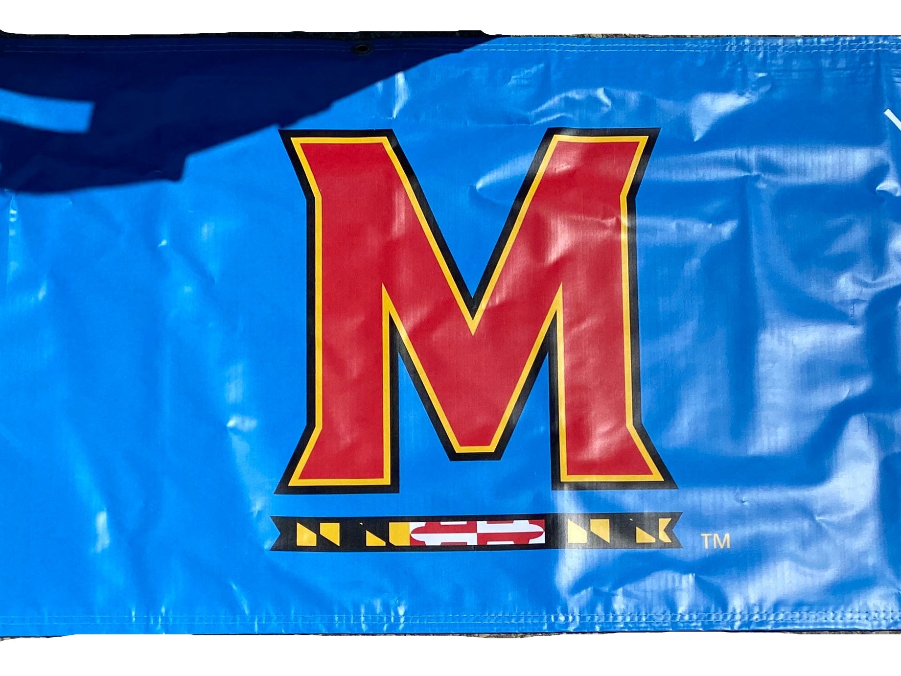 Women's Big Ten Gymnastics Championships 2024 School Logo Banner