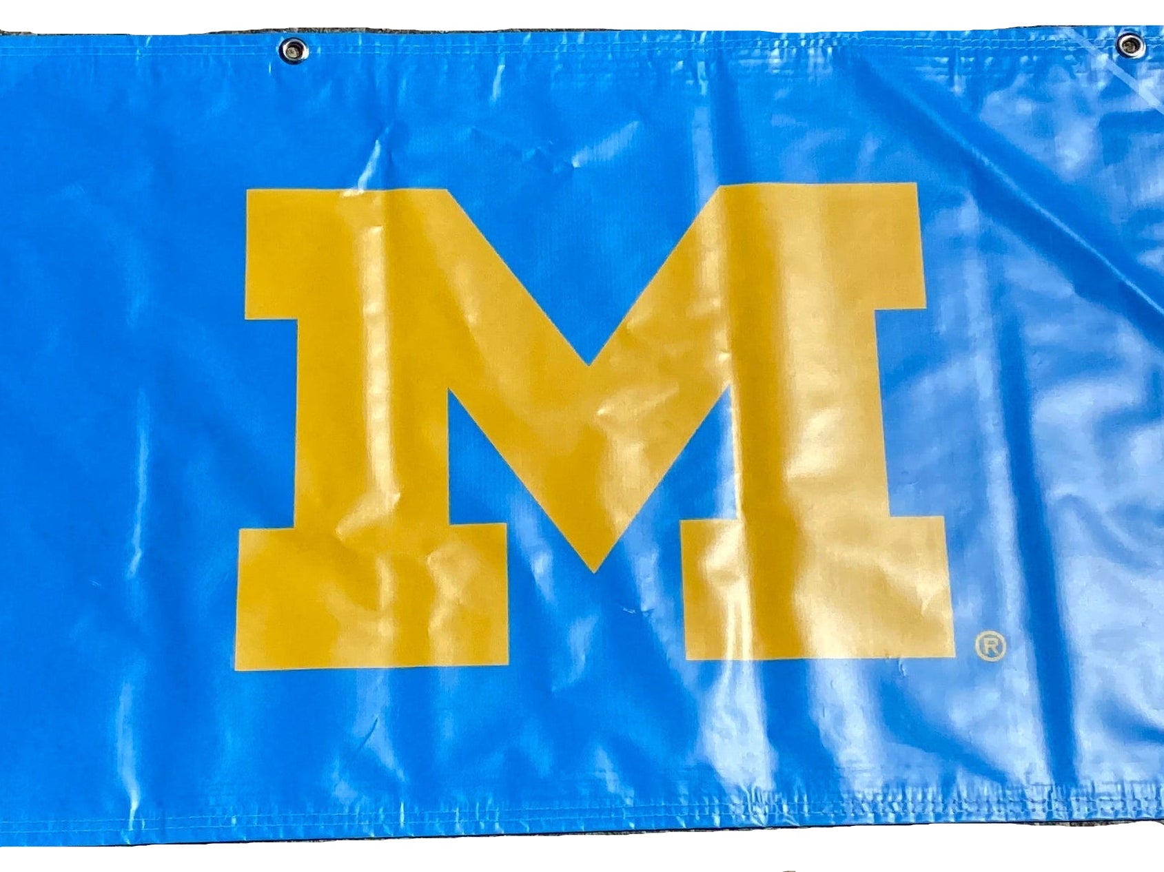 Women's Big Ten Gymnastics Championships 2024 School Logo Banner