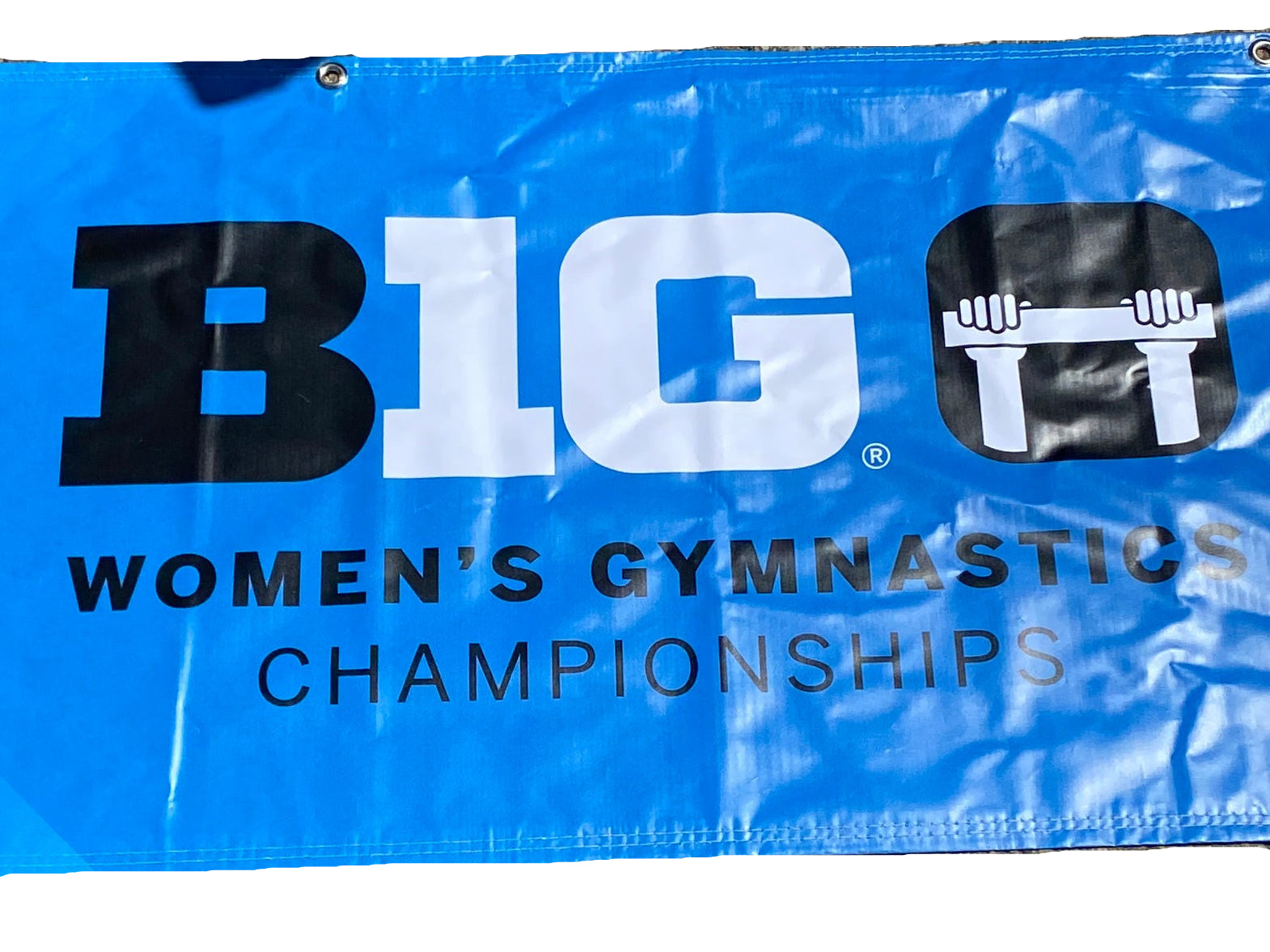 Women's Big Ten Gymnastics Championships 2024 School Logo Banner