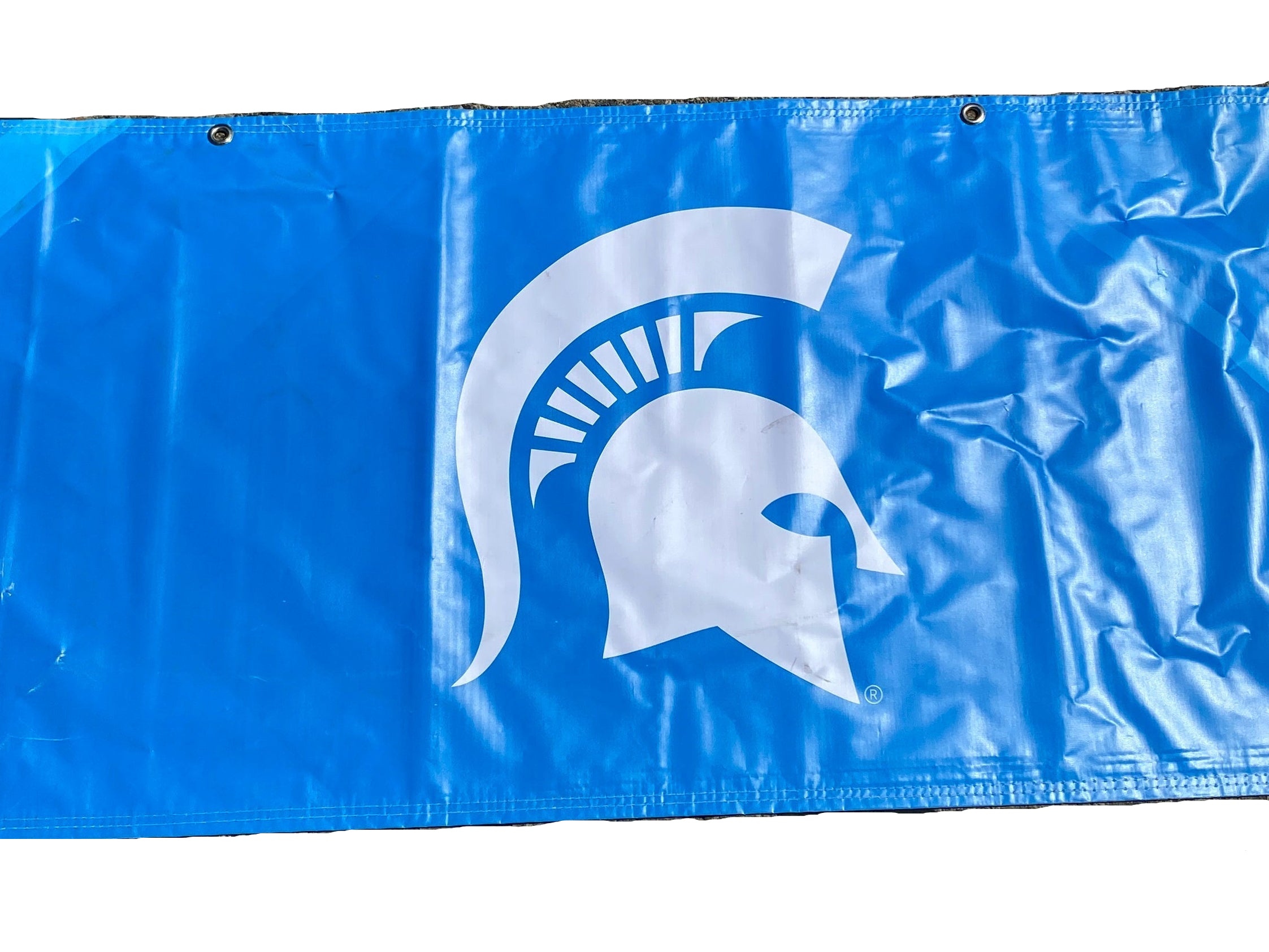 Women's Big Ten Gymnastics Championships 2024 School Logo Banner
