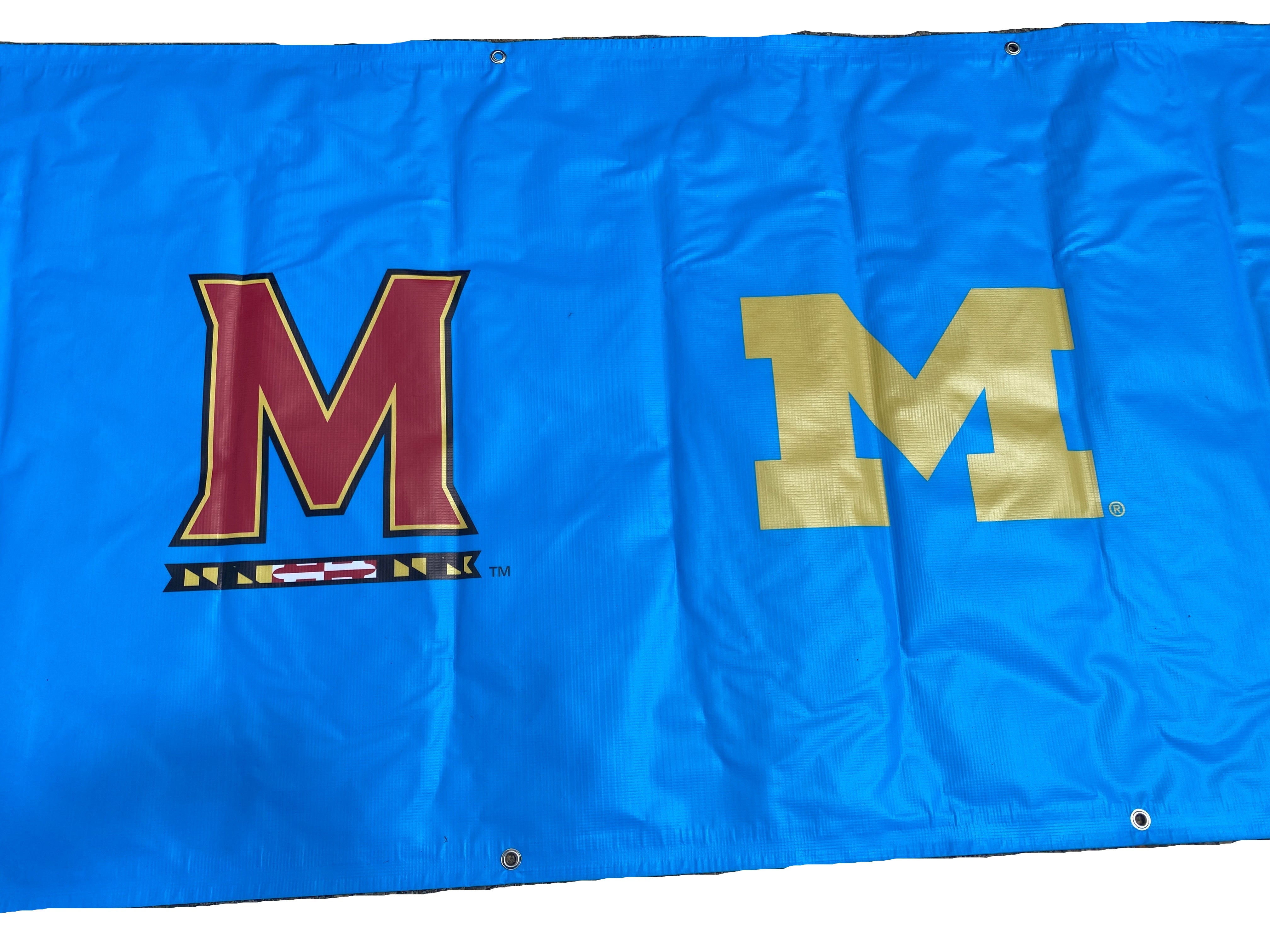Women's Big Ten Gymnastics Championships 2024 Welcome Banner