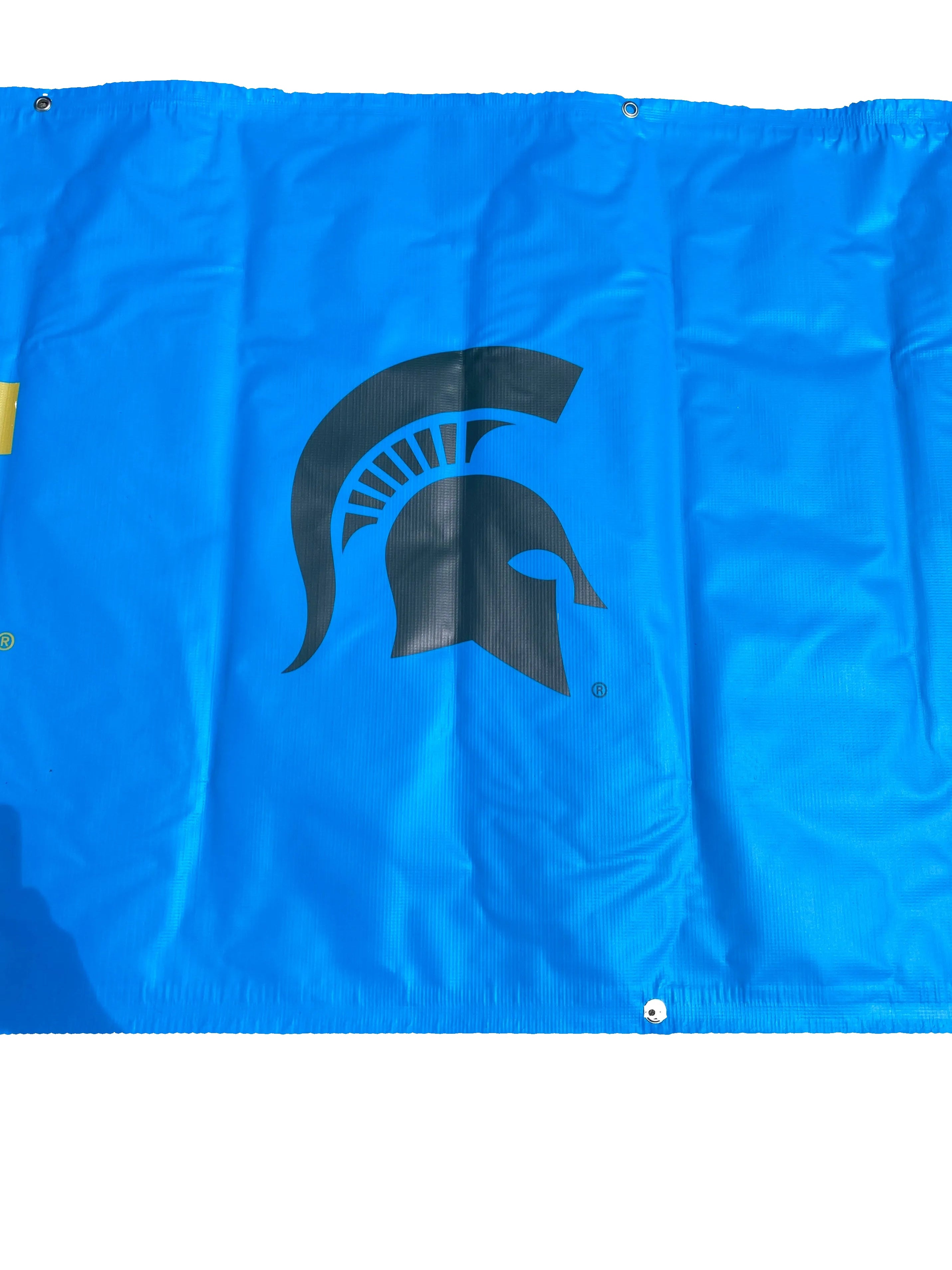 Women's Big Ten Gymnastics Championships 2024 Welcome Banner