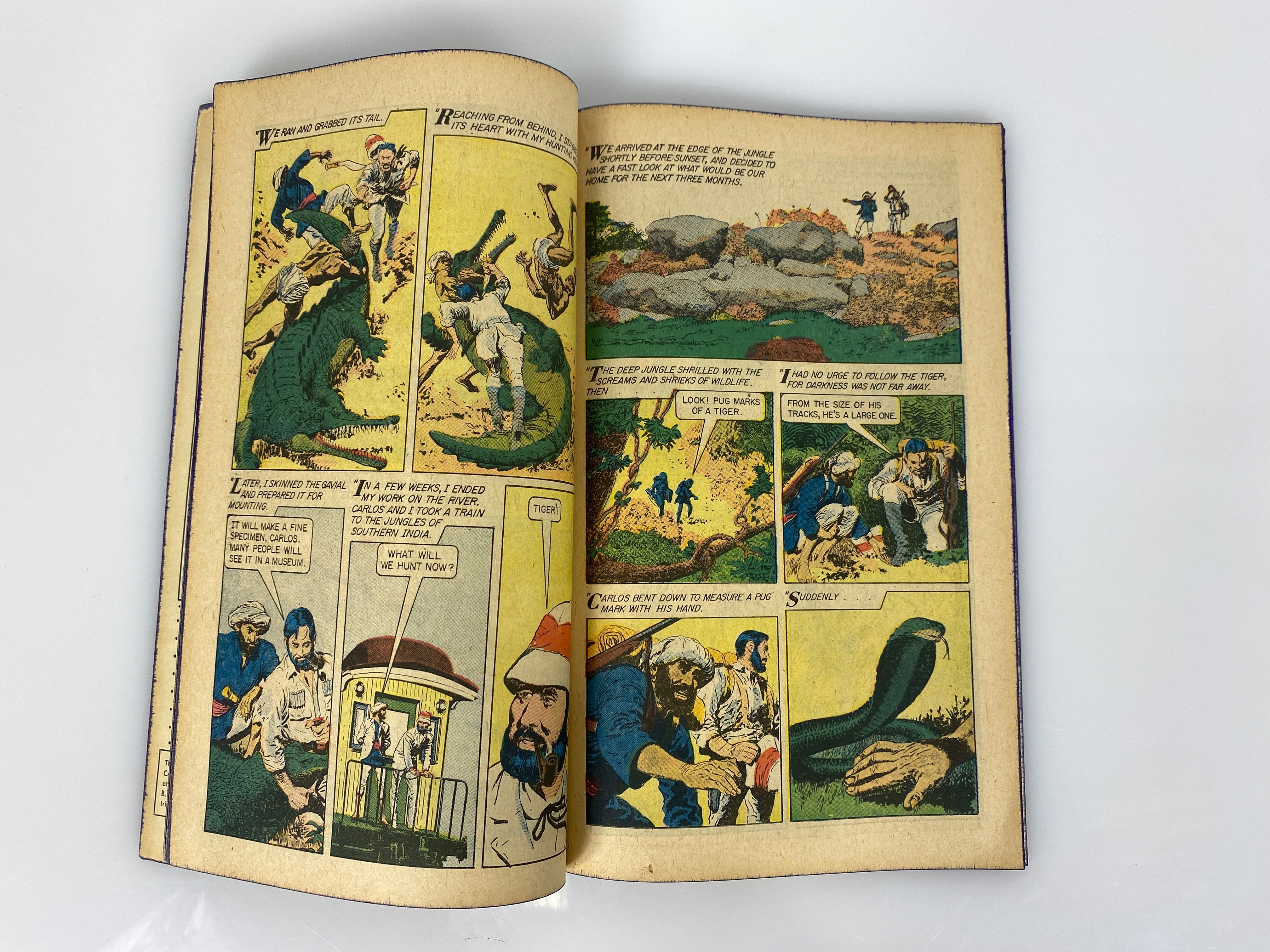 World Around Us: The Jungle Number 19 1960 Classics Illustrated