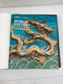 World History Great Civilizations National Geographic Teacher Edition 2025 HC