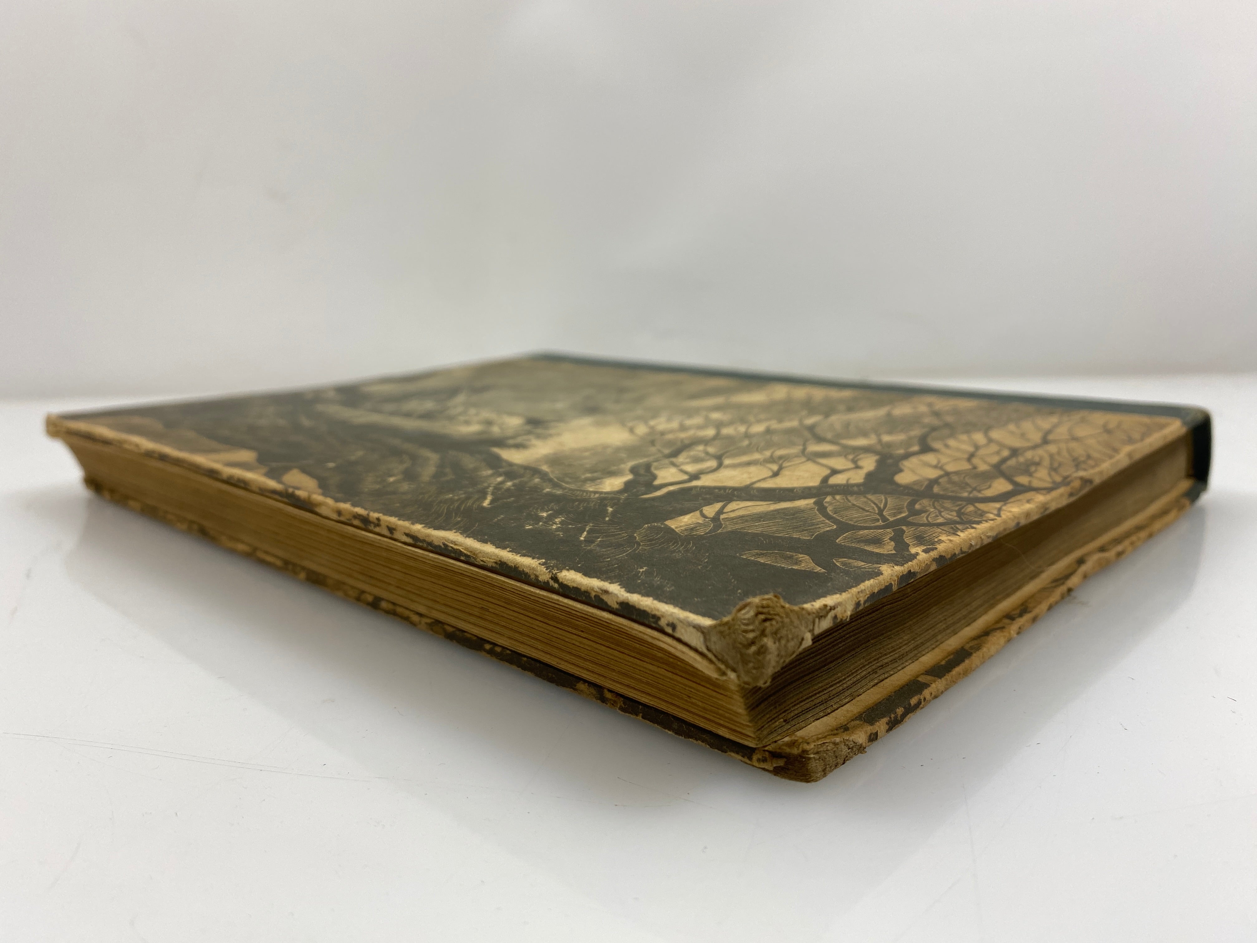 Wuthering Heights by Bronte Random House HC