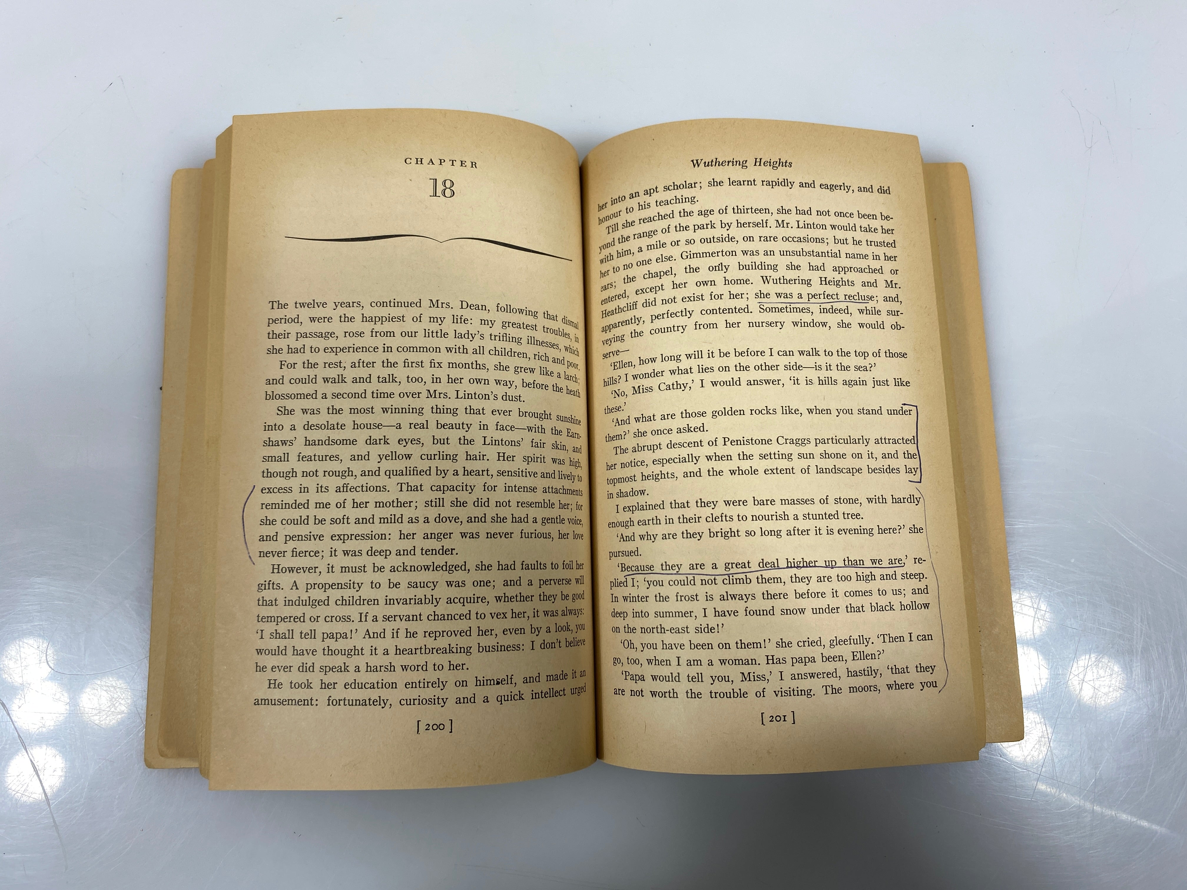 Wuthering Heights by Emily Bronte 17th Printing 1966 SC