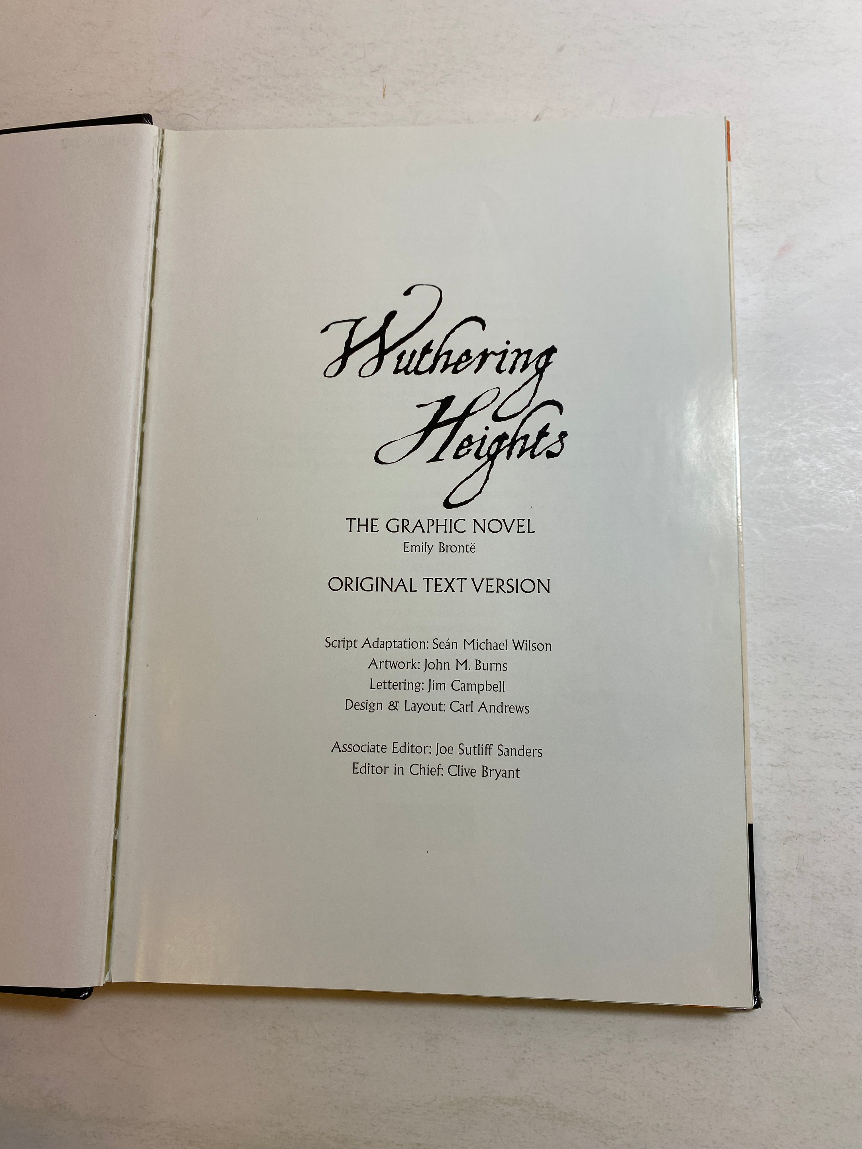 Wuthering Heights Graphic Novel Emily Bronte 2011 HC