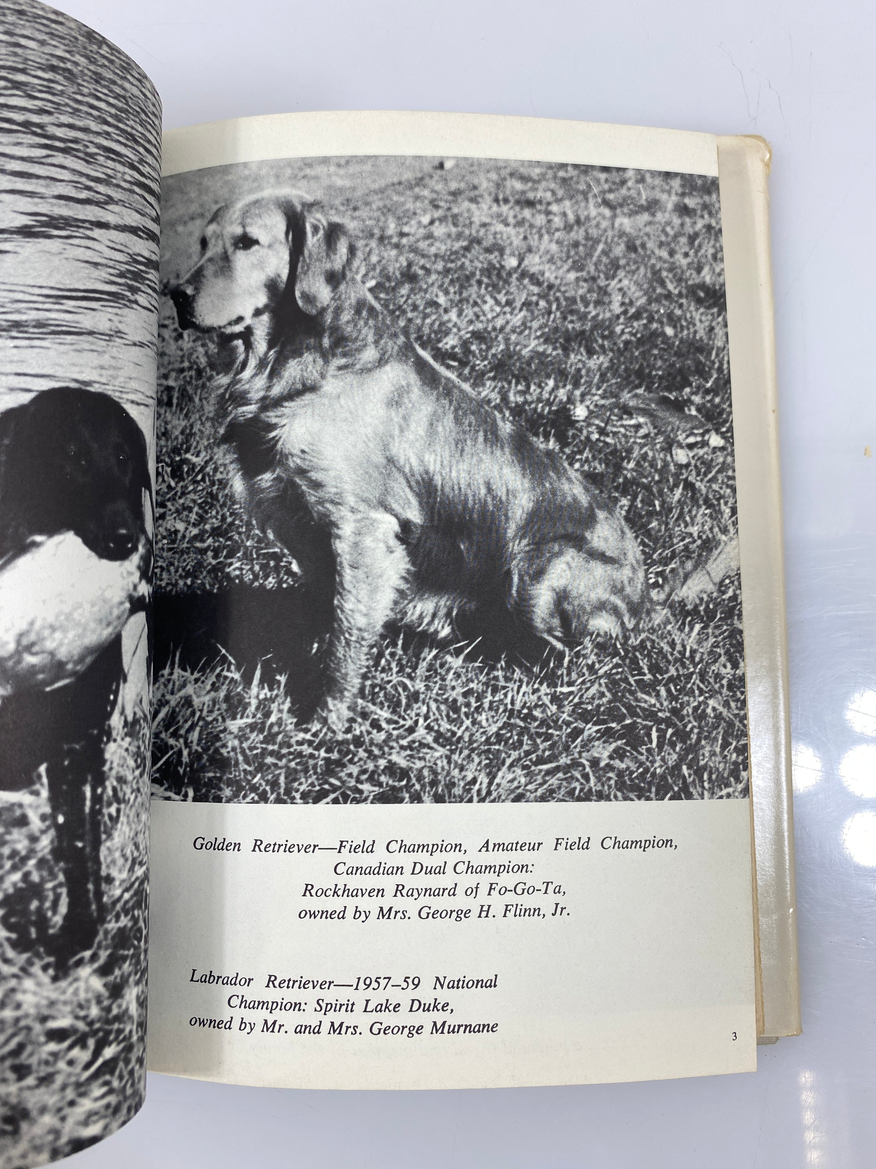 You and Your Golden Retriever by Coykendall 1963 HCDJ