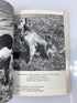You and Your Golden Retriever by Coykendall 1963 HCDJ