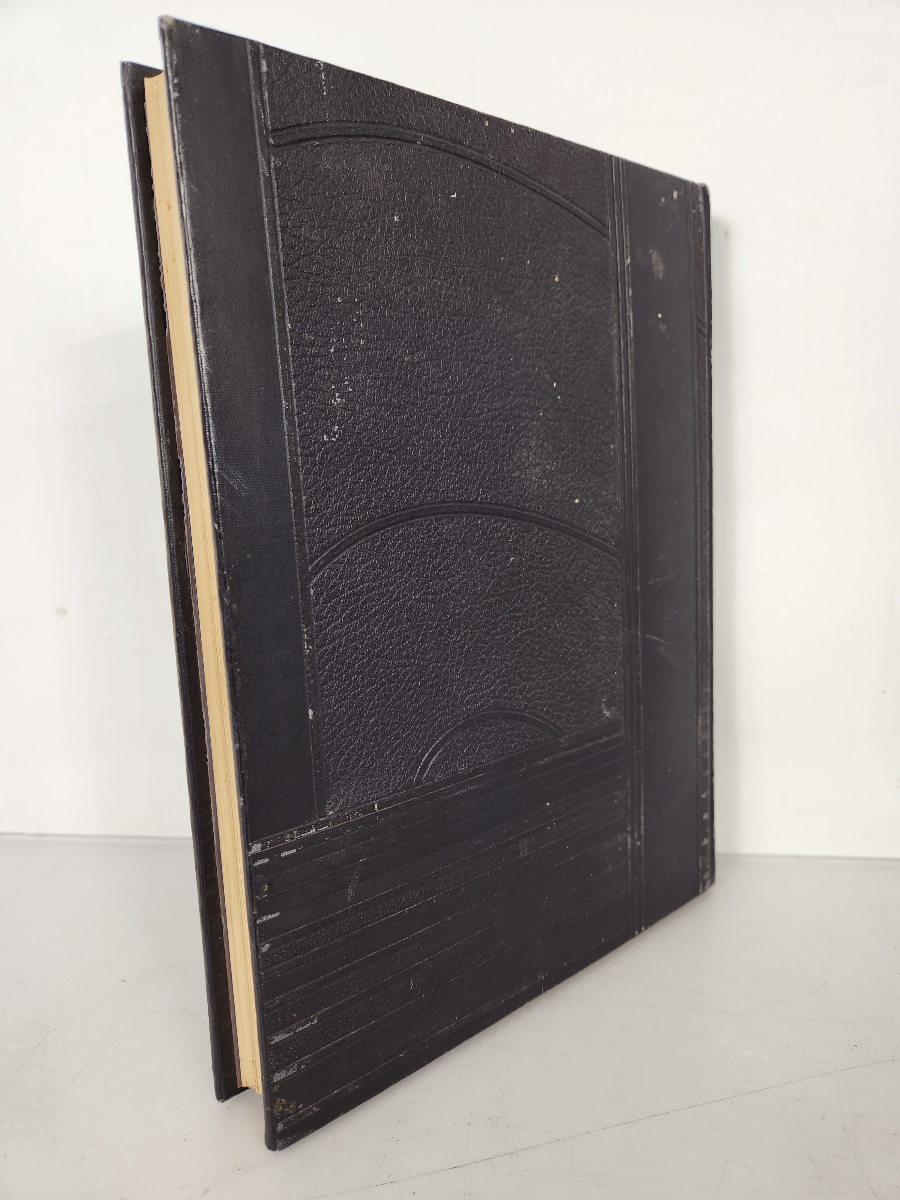 1932 Michigan State College Yearbook Wolverine