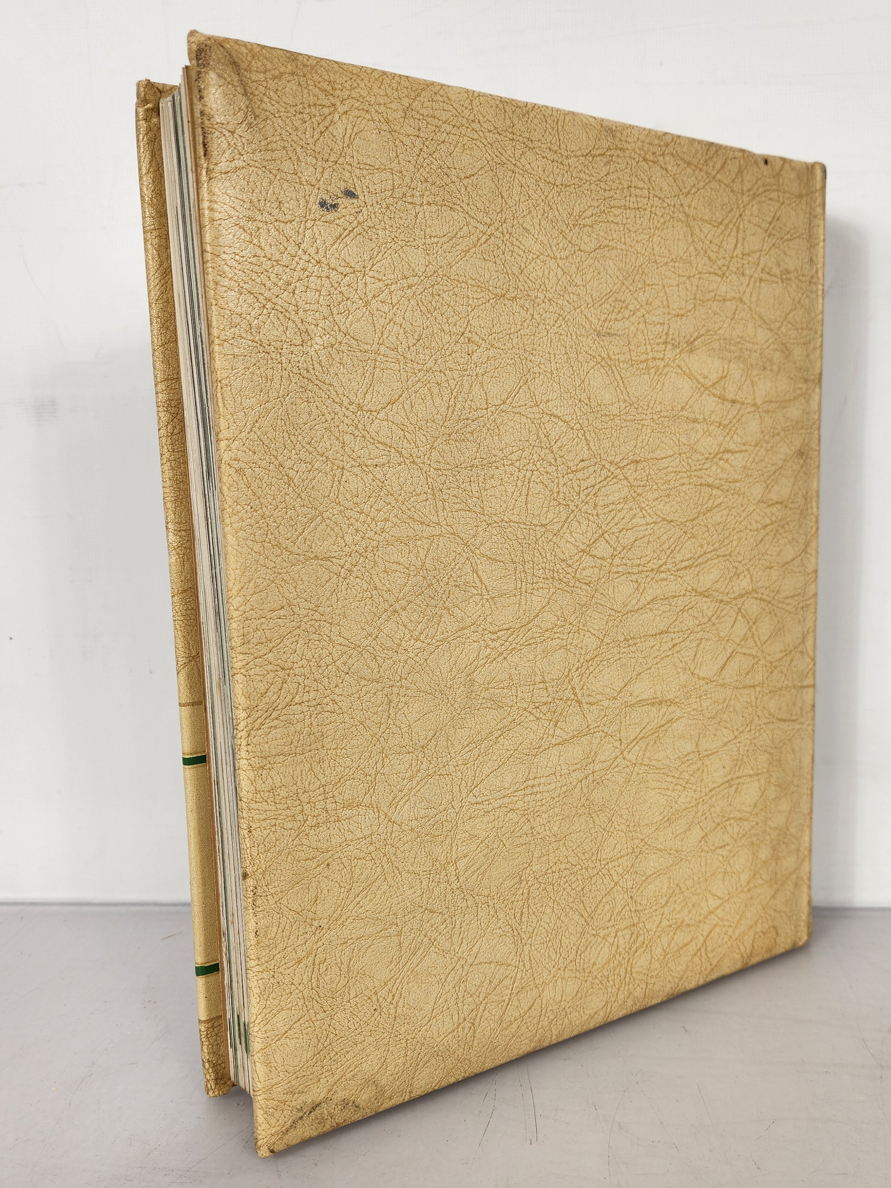 1946 Michigan State College Yearbook Wolverine