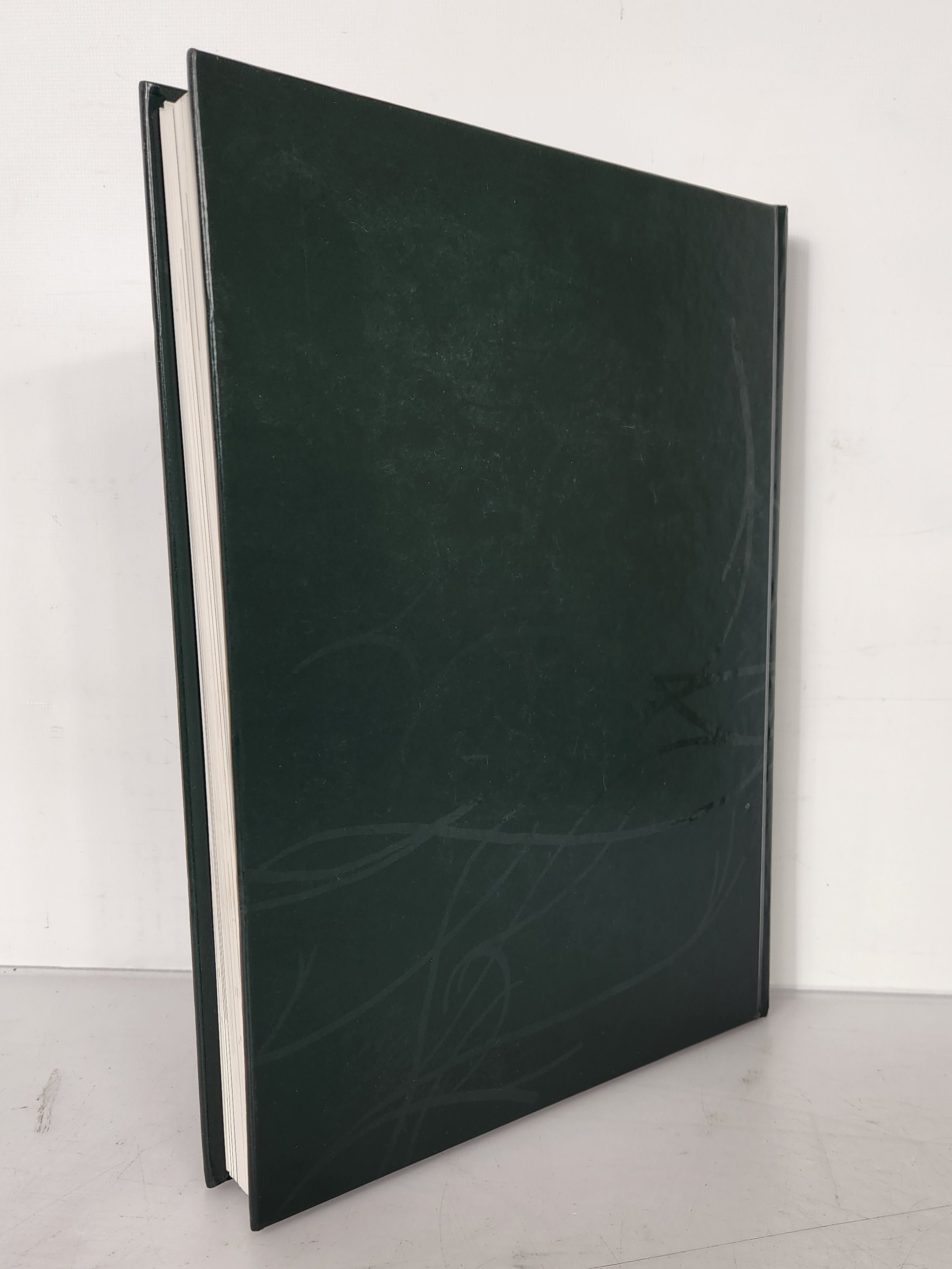 2007 Michigan State University Yearbook Red Cedar Log