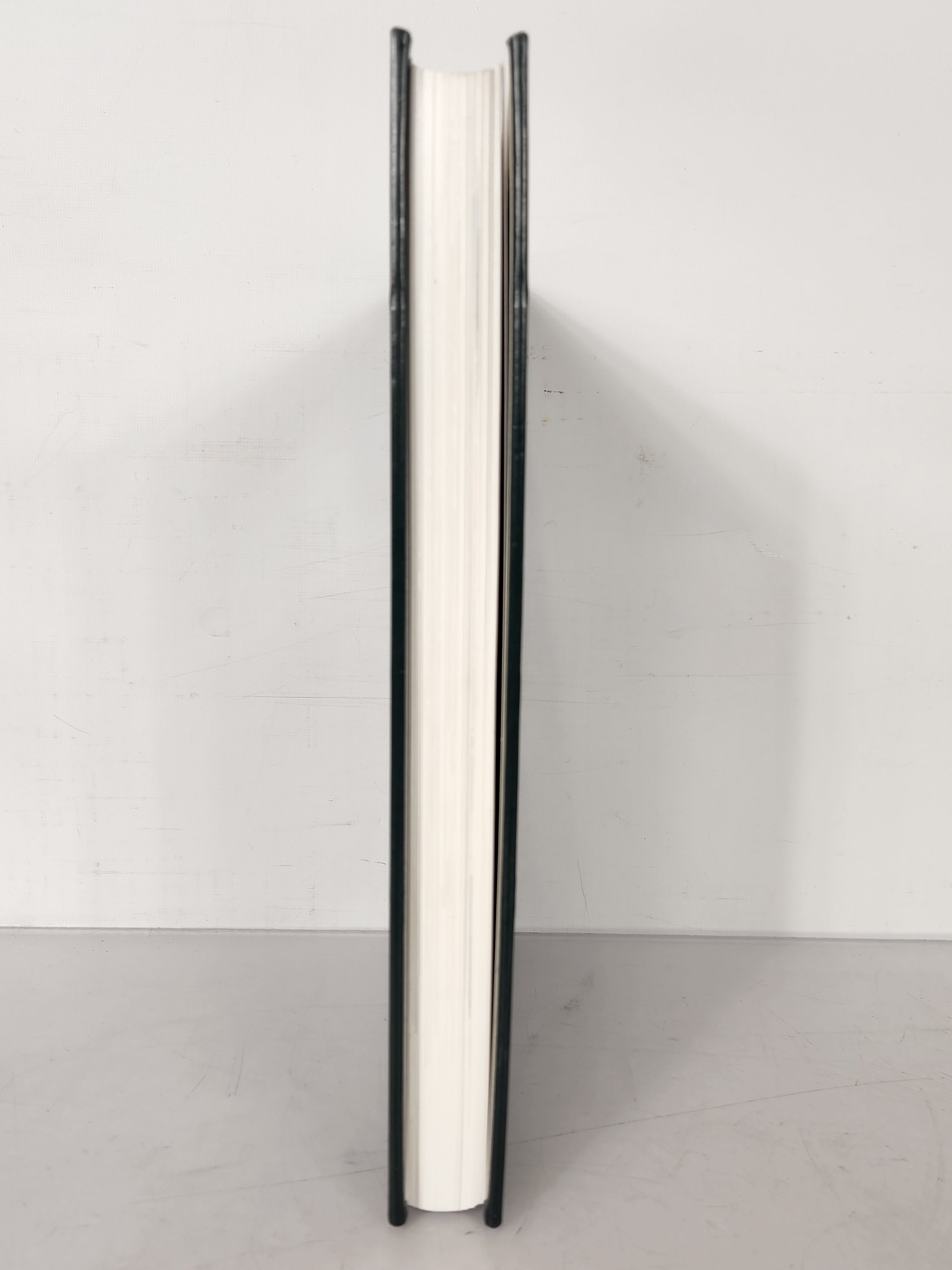 2007 Michigan State University Yearbook Red Cedar Log