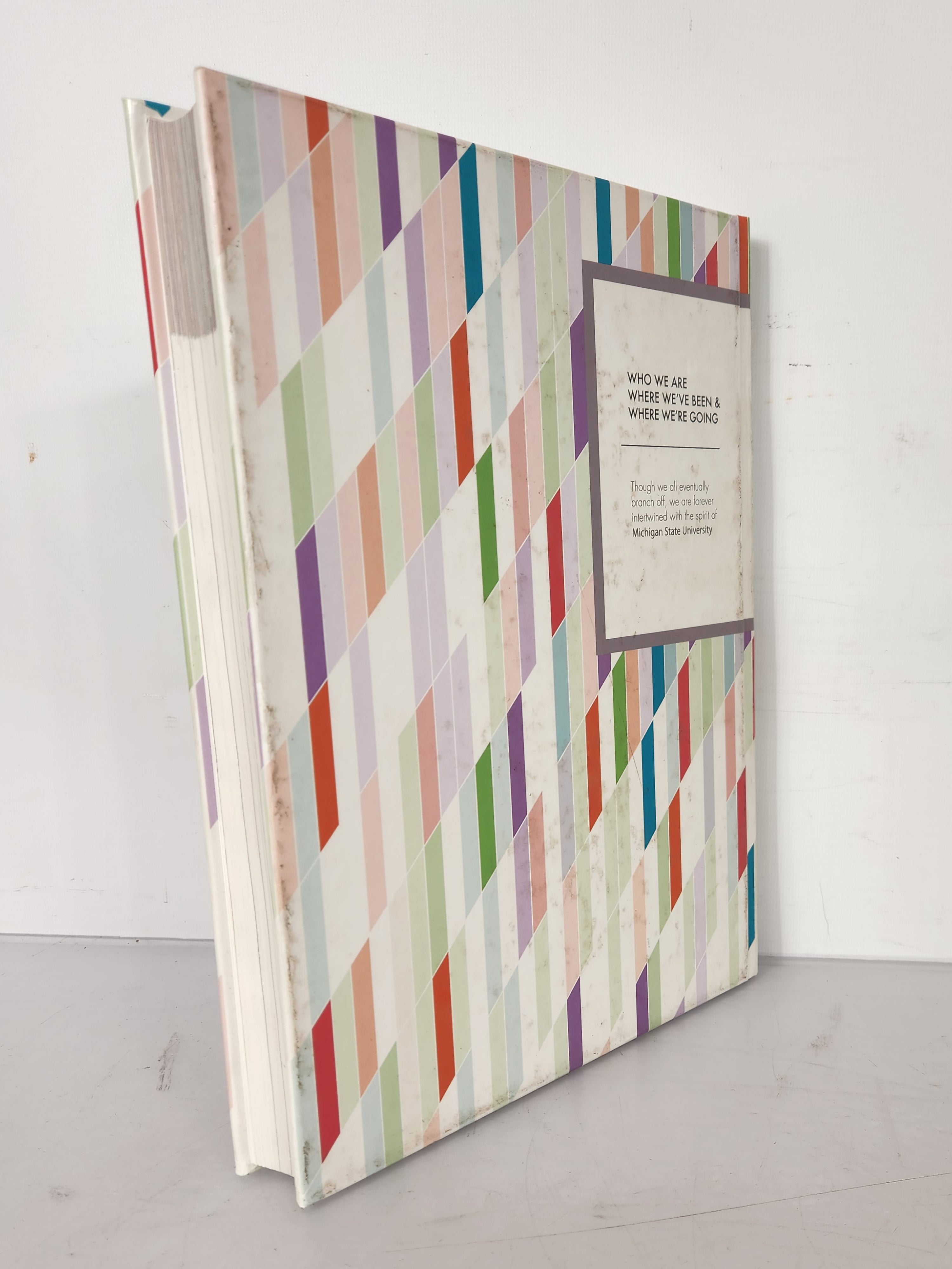 2012 Michigan State University Yearbook Red Cedar Log
