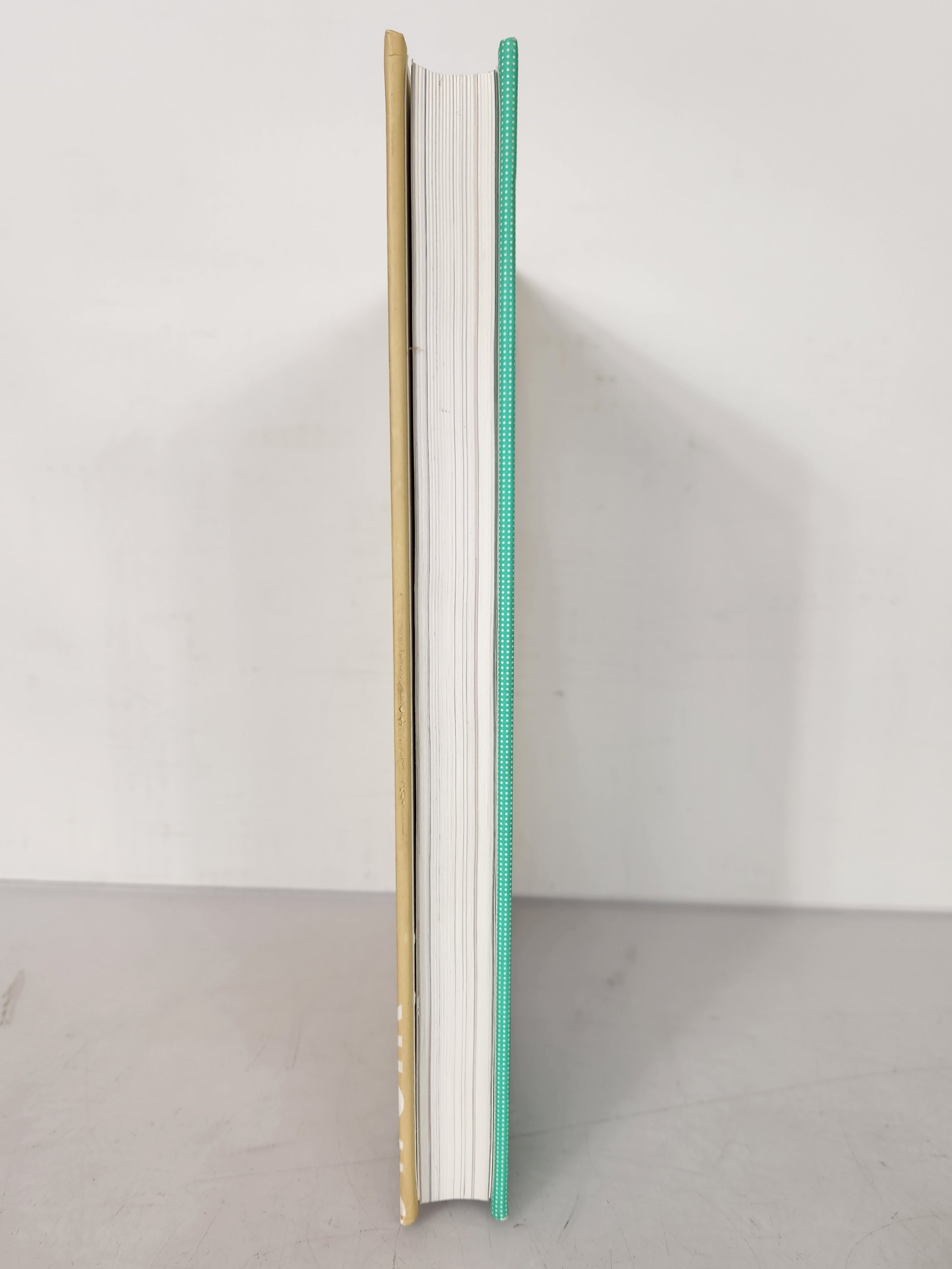 2013 Michigan State University Yearbook Red Cedar Log