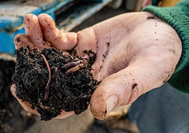 4-Gallon Grow Green Vermicompost Bag