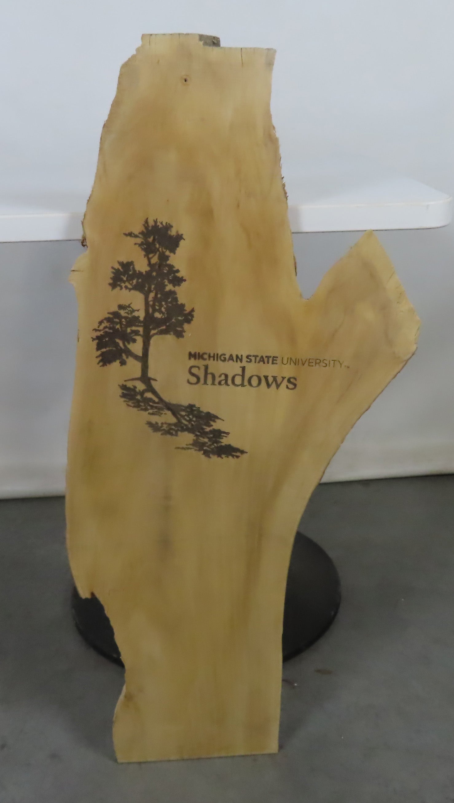 MSU Shadows Wood Plank
