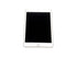 Apple iPad Mini 4 128GB 7.9" Unlocked A1550 (White/Gold) w/ Case