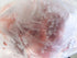 MSU Meat Labs Pork Neckbones